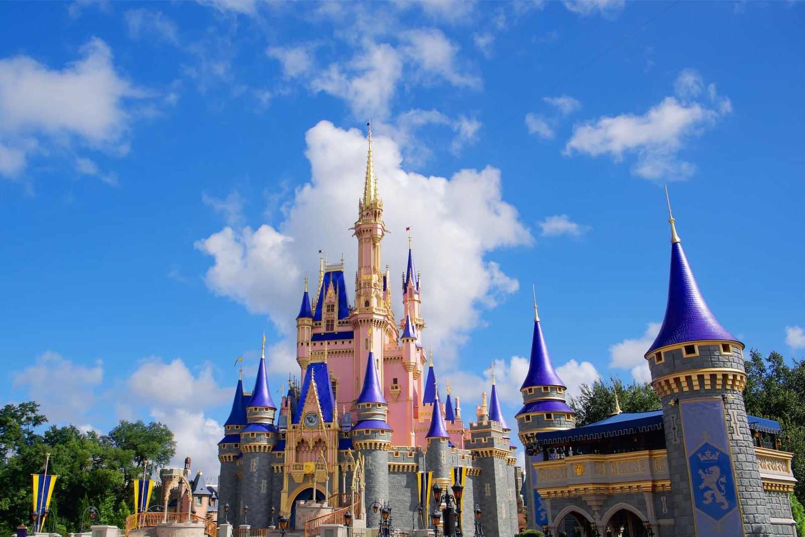castillo-disney-world-orlando-vista