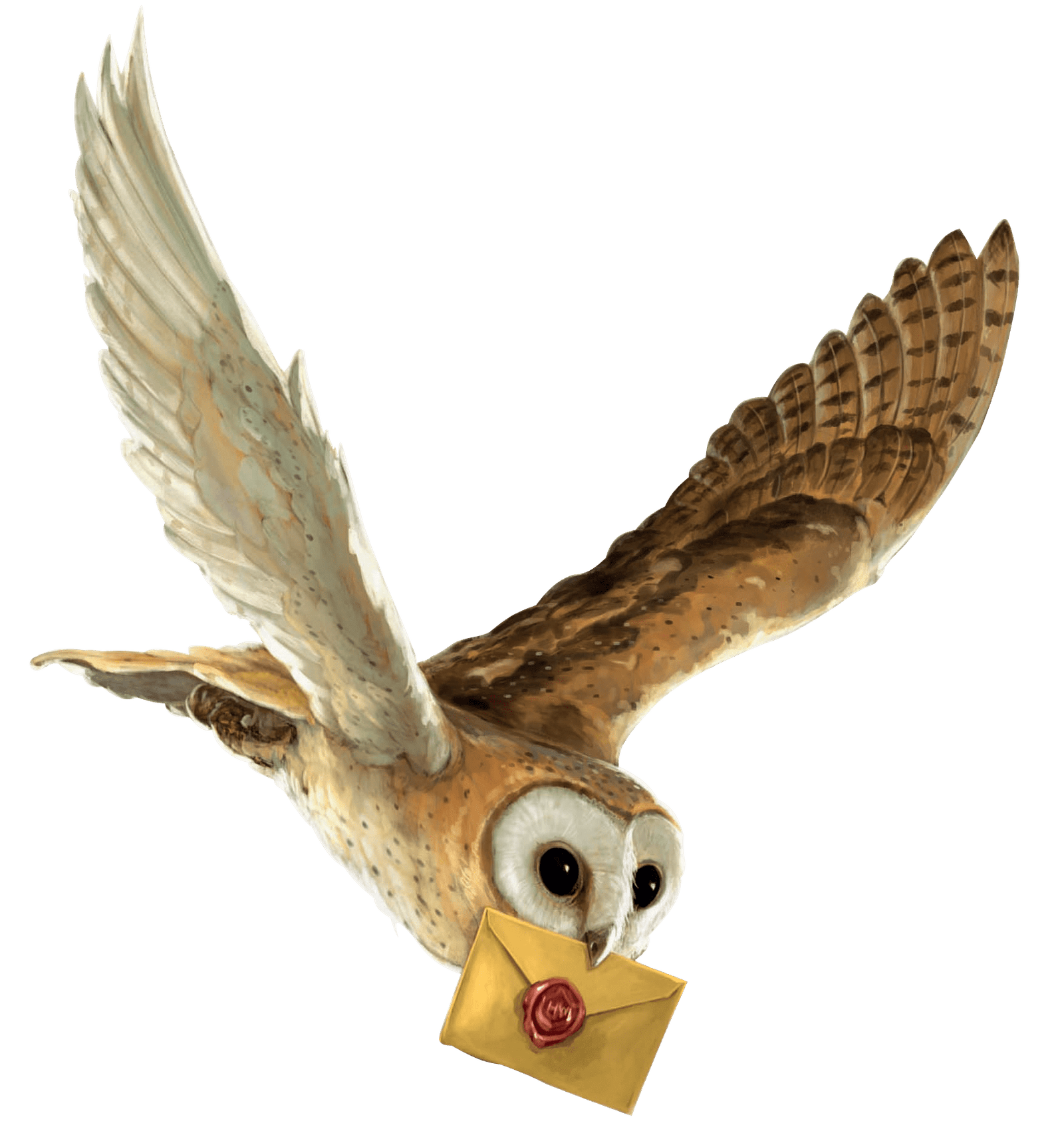 harry-potter-carta-lechuza