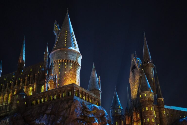 harry potter noche universal hollywood Mi servicio