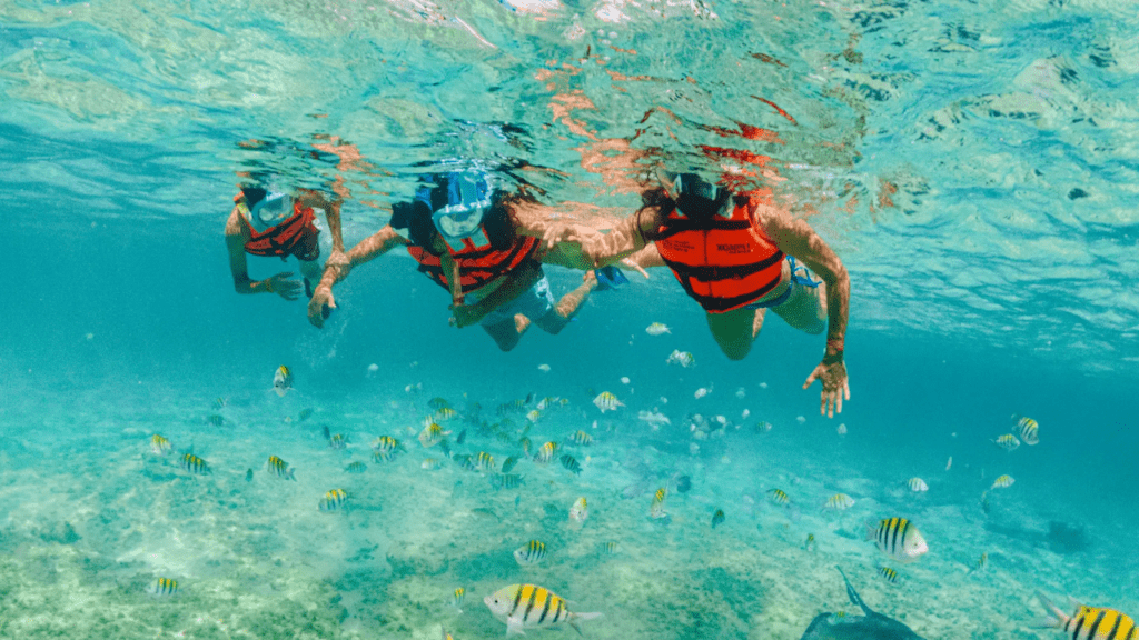actividad extra xcaret mexico tour Snorkel Xcaret