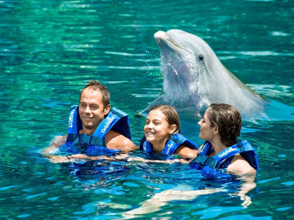 nado delfines xcaret Xcaret